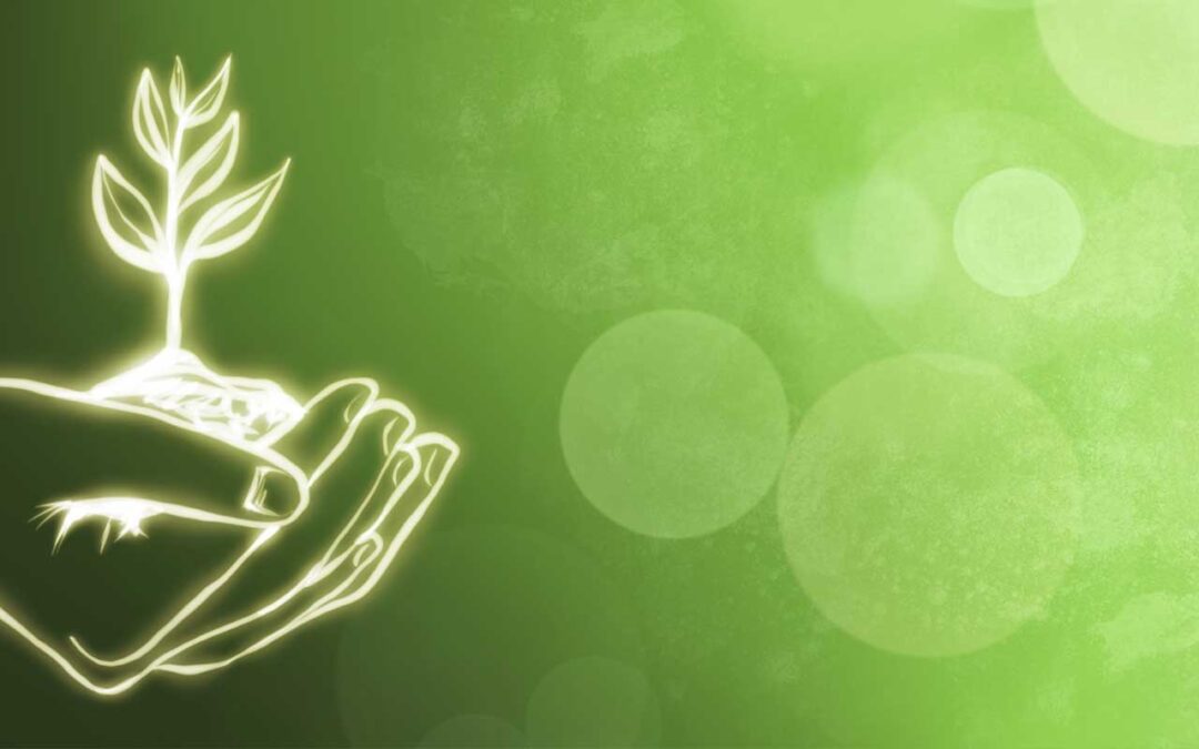 Informacje z pierwszego spotkania zarządu i komisji rewizyjnej.